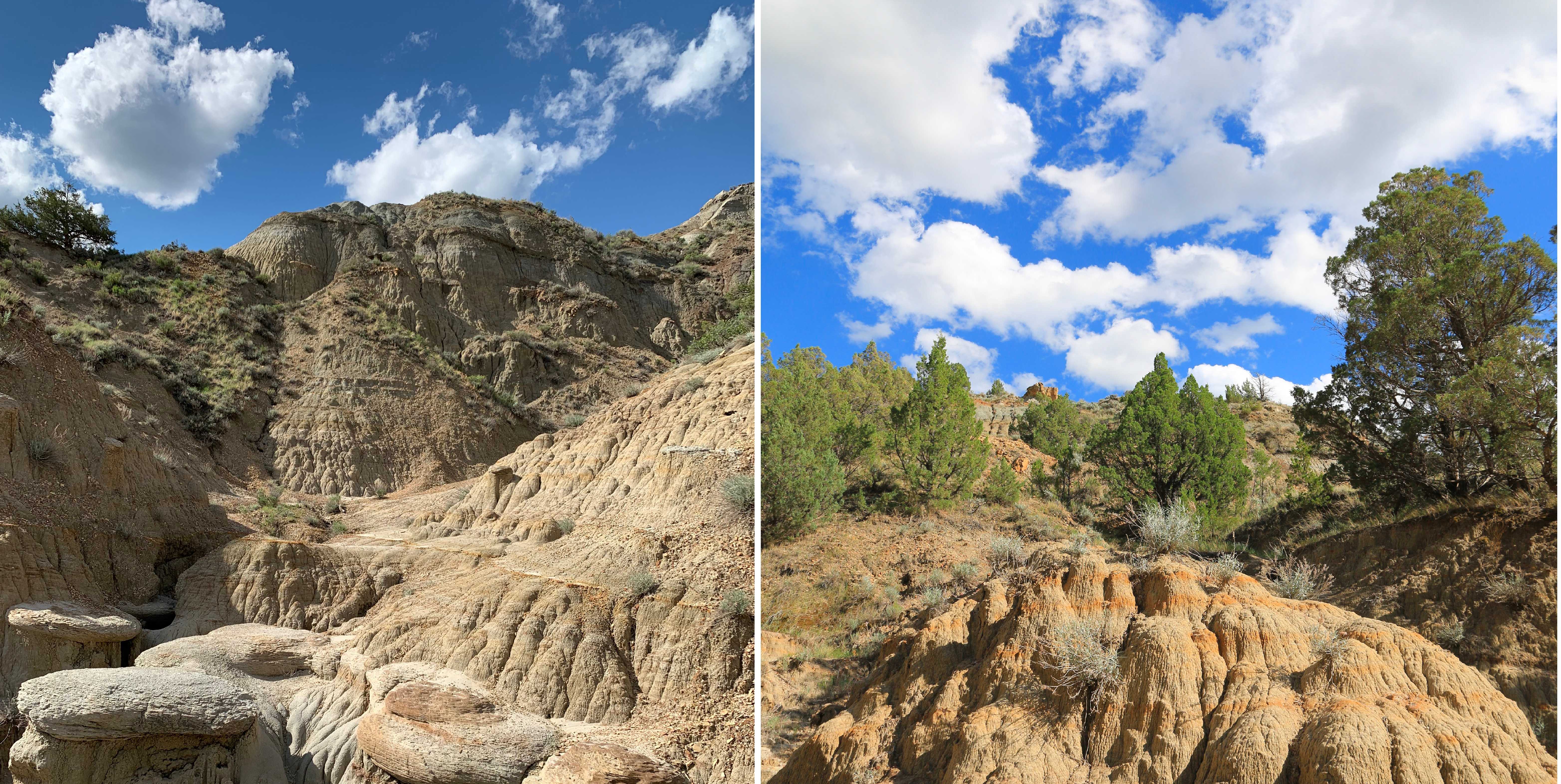 Theodore Roosevelt NP